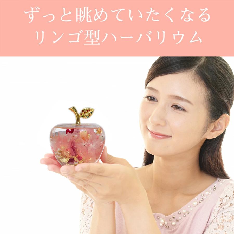 送料無料 母の日 プレゼント カーネーション ハーバリウム リンゴ
