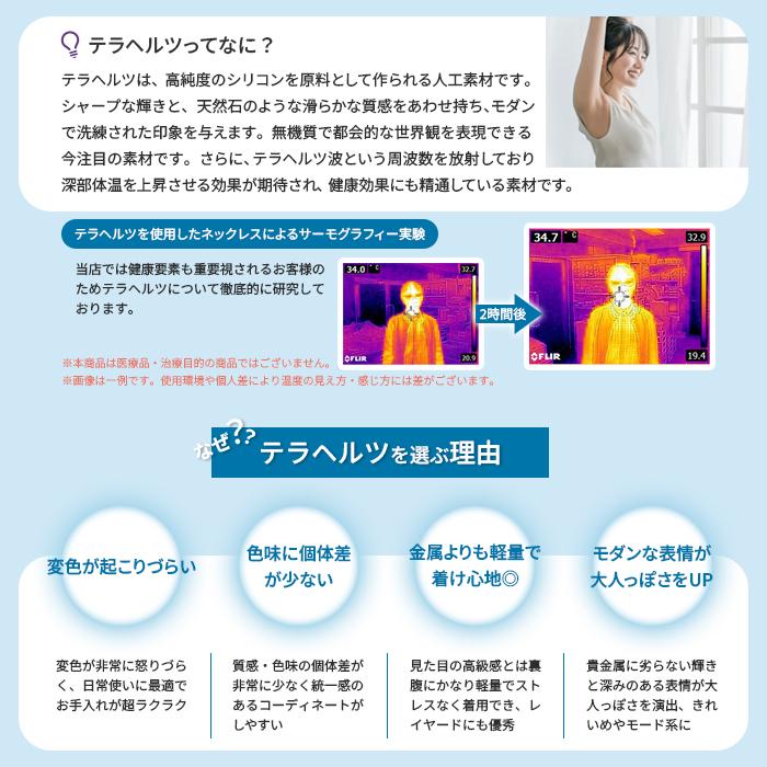 ポイント5倍☆ テラヘルツ ネックレス メンズ ショートネックレス