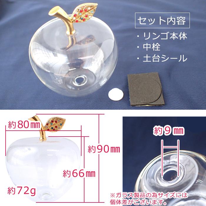 予約販売） ガラスのリンゴ(空) ハーバリウム ドライフラワー フラワー
