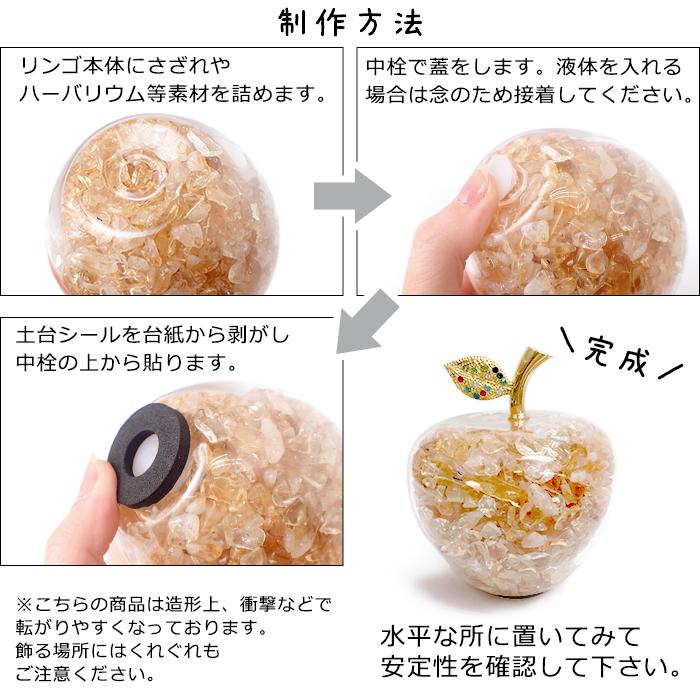 予約販売） ガラスのリンゴ(空) ハーバリウム ドライフラワー フラワー