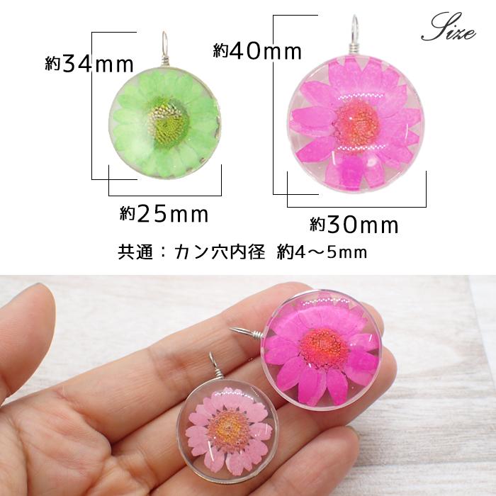 マーガレット ガラスチャーム 全9色 25 / 30mm 1個売り 押し花 パーツ