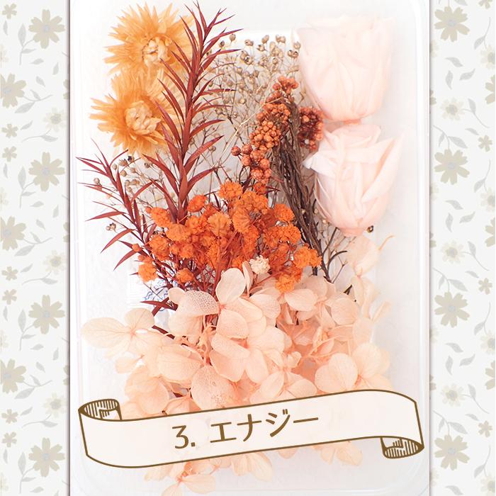 ドライフラワー (78) アソートパック あじさいローズ 花材 ドライフラワー (78) アソートパック あじさいローズ 花材