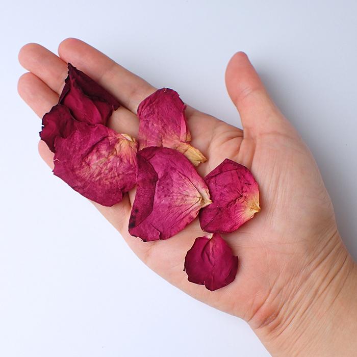 ドライフラワー (79) レッドローズペタル ローズ 薔薇 花材 ブーケ