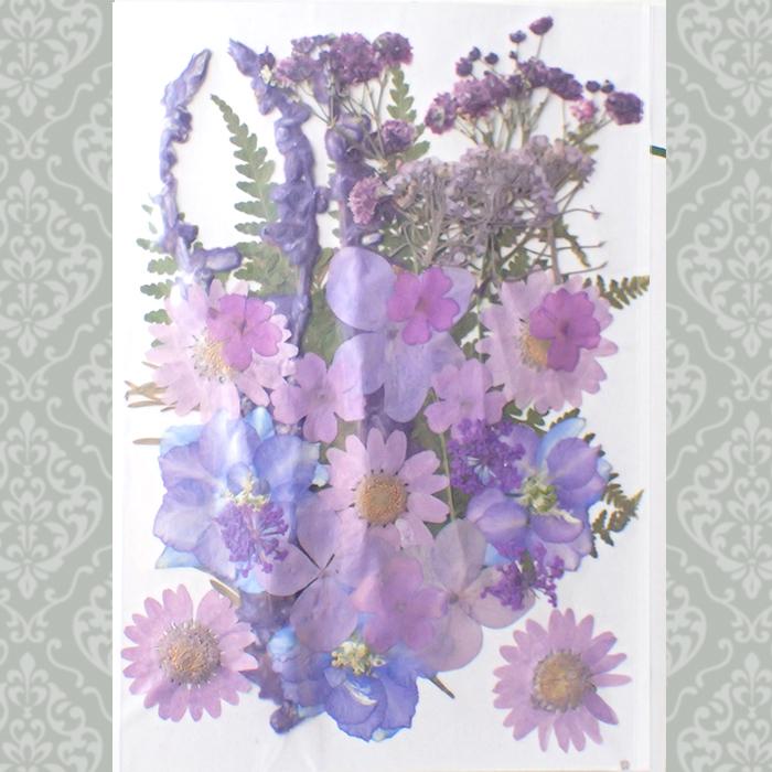 押し花 (83) ジャルダン ドライフラワー 花材 レジン プリザーブド