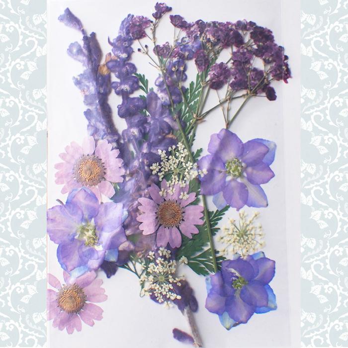 押し花 (86) スモールガーデン ドライフラワー 花材 レジン