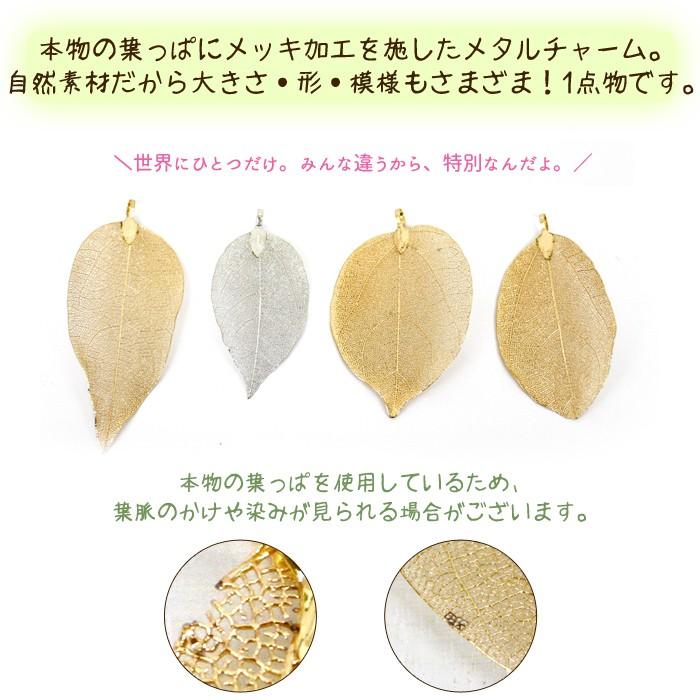 葉脈チャーム (58) 1個 全4色 本物 葉っぱ リーフ 植物 ボタニカル 