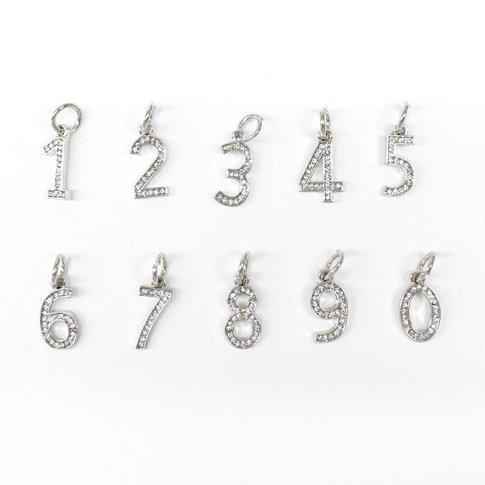 ナンバーチャーム ビッグ シルバー 約22×10mm ナンバー チャーム