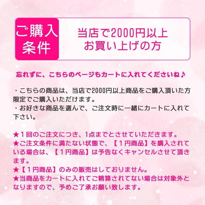 2000円以上のご注文で買える１円商品★何が届くかお楽しみ♪おまけ お得 くじ ガチャ ランダム シークレット お買い得 ハンドメイド 国内発送｜partsworldjp｜02