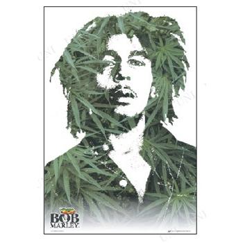 BOB MARLEY & WAILERS 額縁付　　非売品　ポストカード　レゲエ BOB MARLEY ポスター ボブ・マーリー レゲエ インテリア用品 ポスト