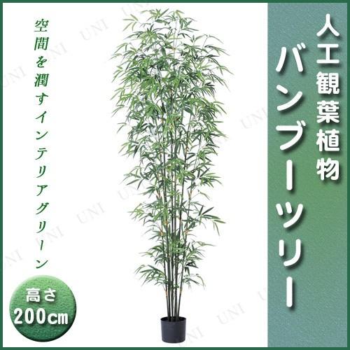 安い購入 取寄品 人工観葉植物 バンブーツリー ポット付 0cm Pw s パーティワールド 通販 Yahoo ショッピング 最新の激安 Www Maxipiso Com Ar