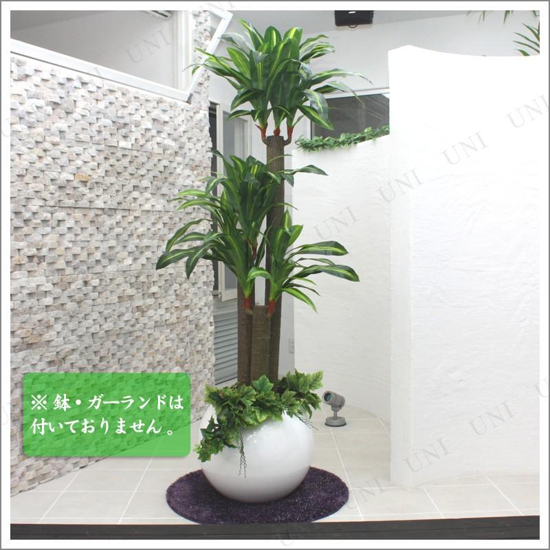 150cm光触媒 ドラセナフレグランス (造花・人工観葉植物) ENTERPRISE 光触媒加工 リアルな作り
