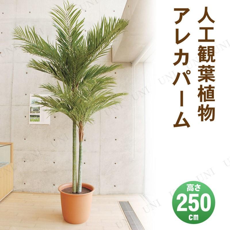取寄品】 フェイクグリーン 光触媒 アレカパーム 250cm 人工観葉植物