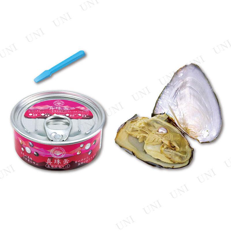 ちょこっと実験箱 真珠缶 真珠採集キット : パーティワールド - 通販