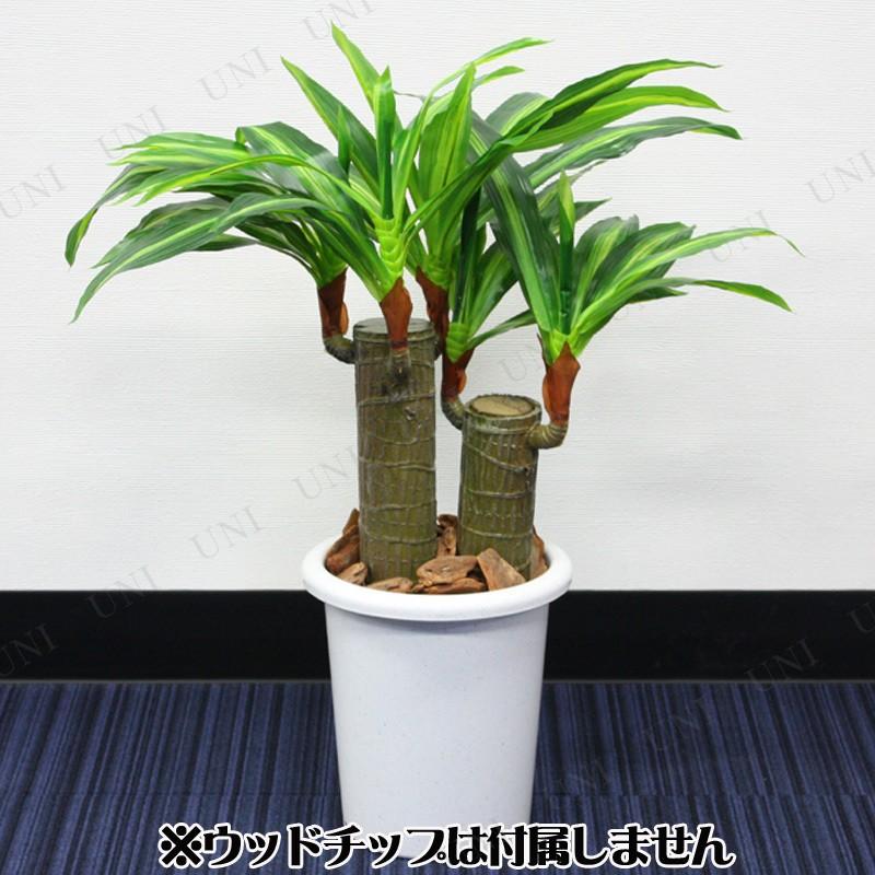 58cmドラセナフレグランス (造花 人工観葉植物)｜party-honpo