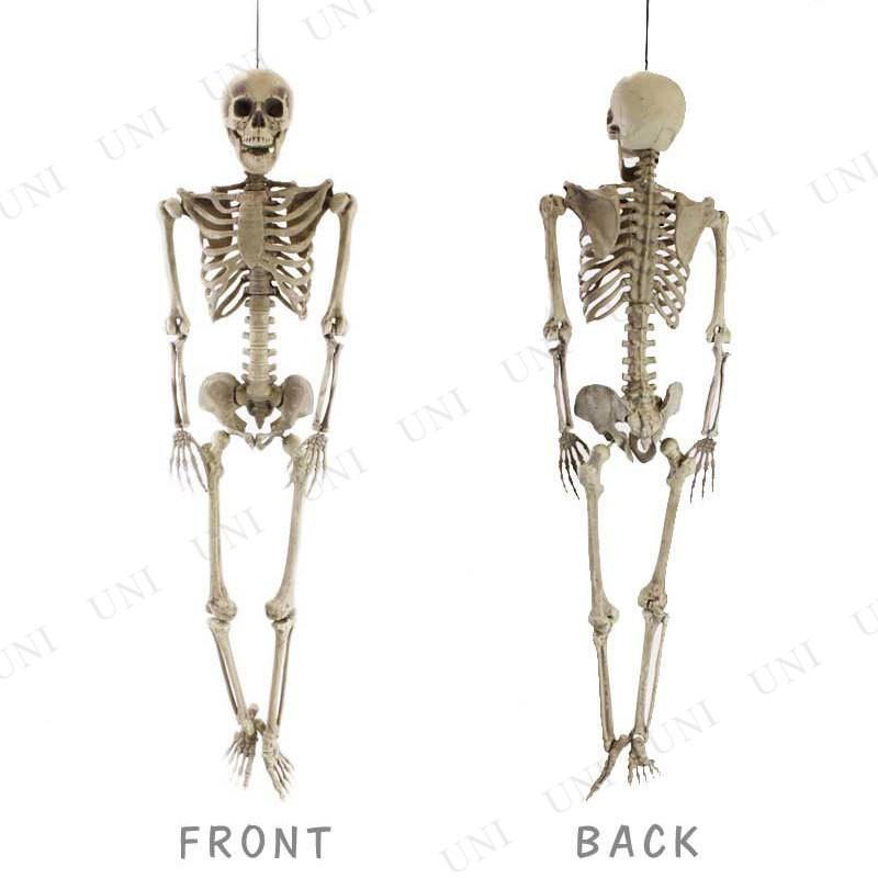 スカル ドクロ ハロウィン 雑貨 怖い ガイコツ 骸骨 置物 ホラー