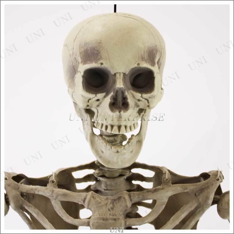 160cm等身大スケルトン ENTERPRISE ハロウィン装飾品 雑貨 骸骨