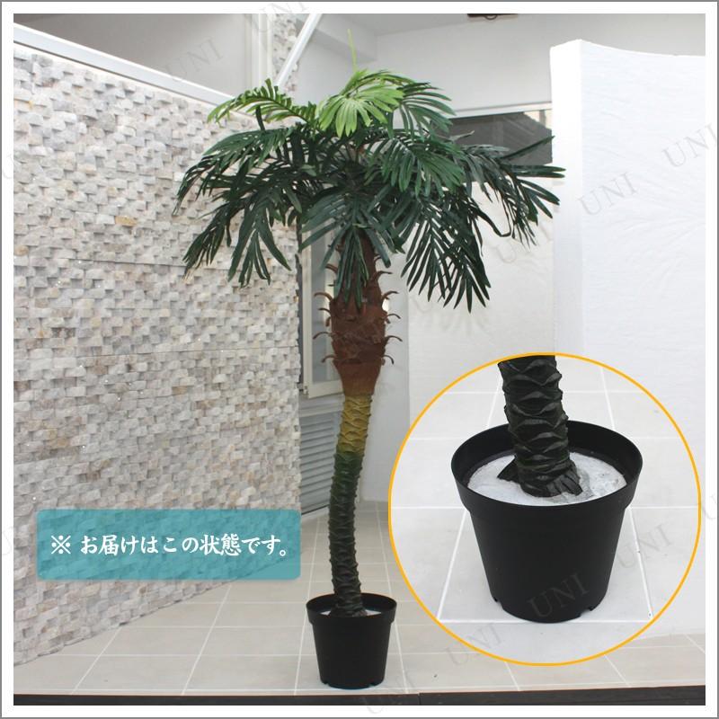 人工観葉植物 光触媒 パームヤシ 180cm ユニエンタープライズ インテリア 光触媒加工 お客様組立商品の画像