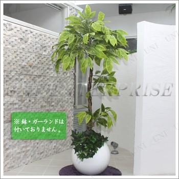 Funderful 人工観葉植物 光触媒 パキラ 165cm ユニエンタープライズ インテリア 光触媒加工 リアルな仕上がり
