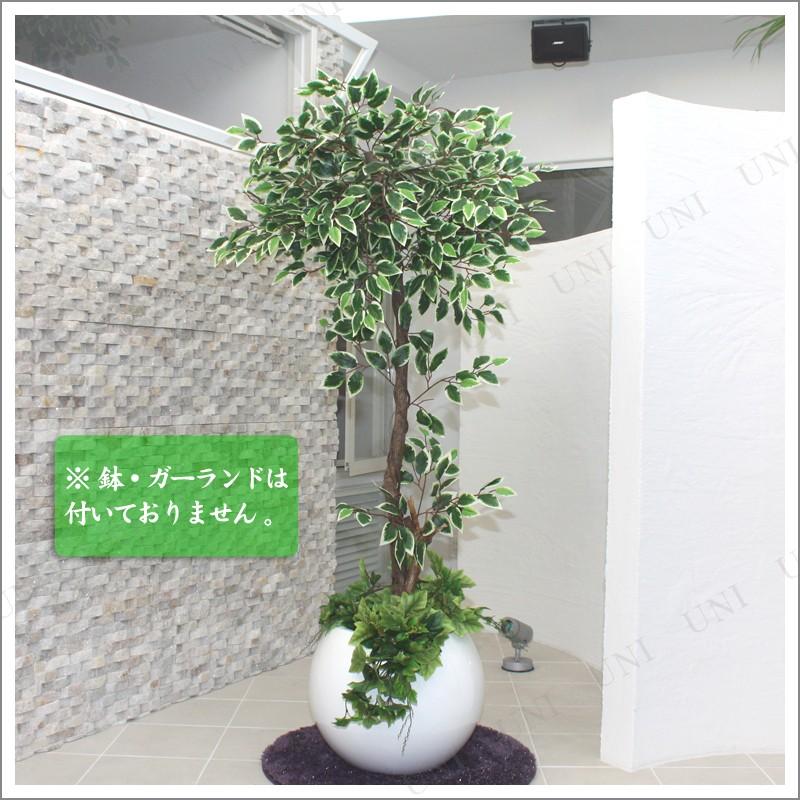 光触媒 大型 人工観葉植物 フェイクグリーン ホワイト鉢付き(引き取り限定) 175cmホワイトフィカス (光触媒・人工観葉植物) 北欧ナチュラル