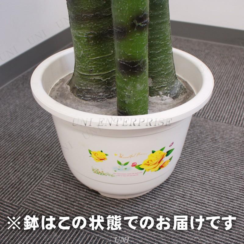 人工観葉植物 光触媒 パキラ 205cm｜party-honpo｜04