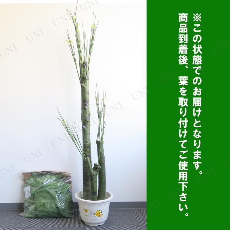 人工観葉植物 光触媒 パキラ 205cm｜party-honpo｜05