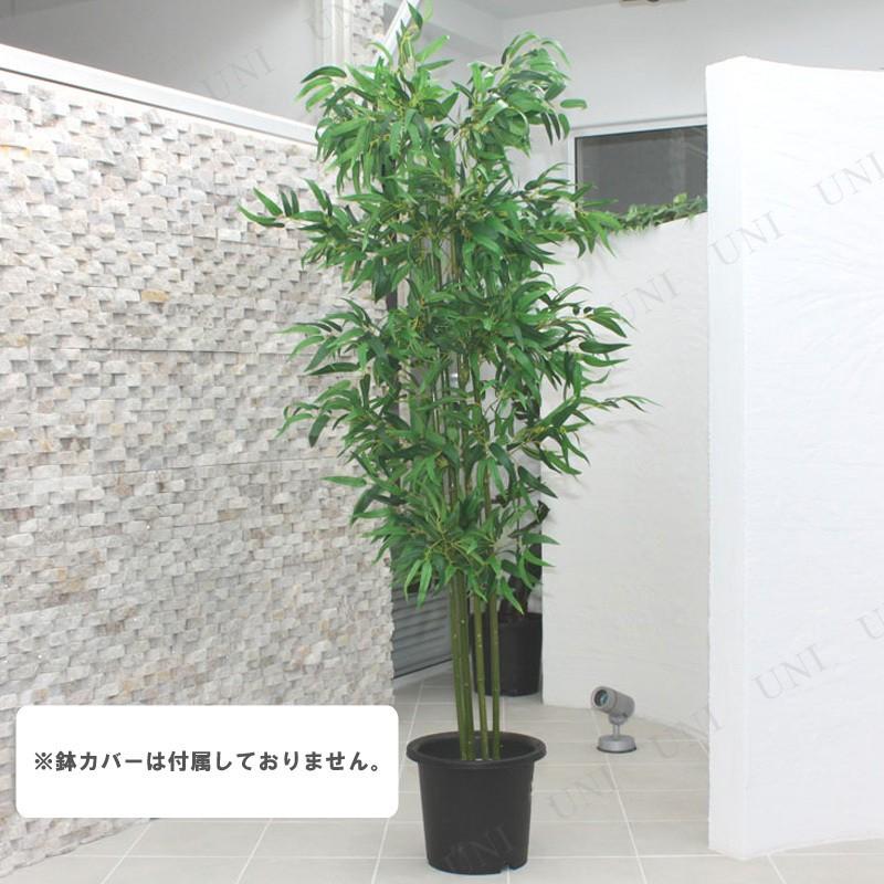 格安人気 人工観葉植物 光触媒 バンブー 青竹 0cm お歳暮 Www Mahlouleh Lanacanal Tv