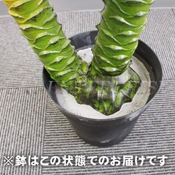 人工観葉植物 光触媒 パームヤシ 135cm ユニエンタープライズ
