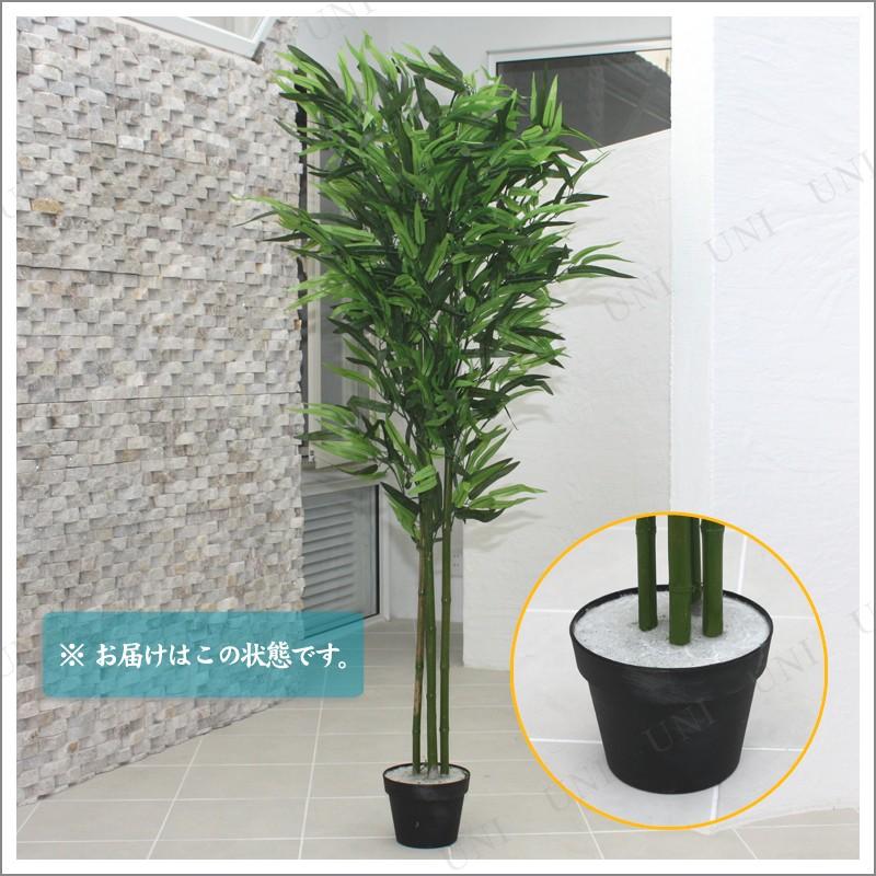人工観葉植物 光触媒 バンブー 青竹 150cm ENTERPRISE 店舗装飾品 季節 