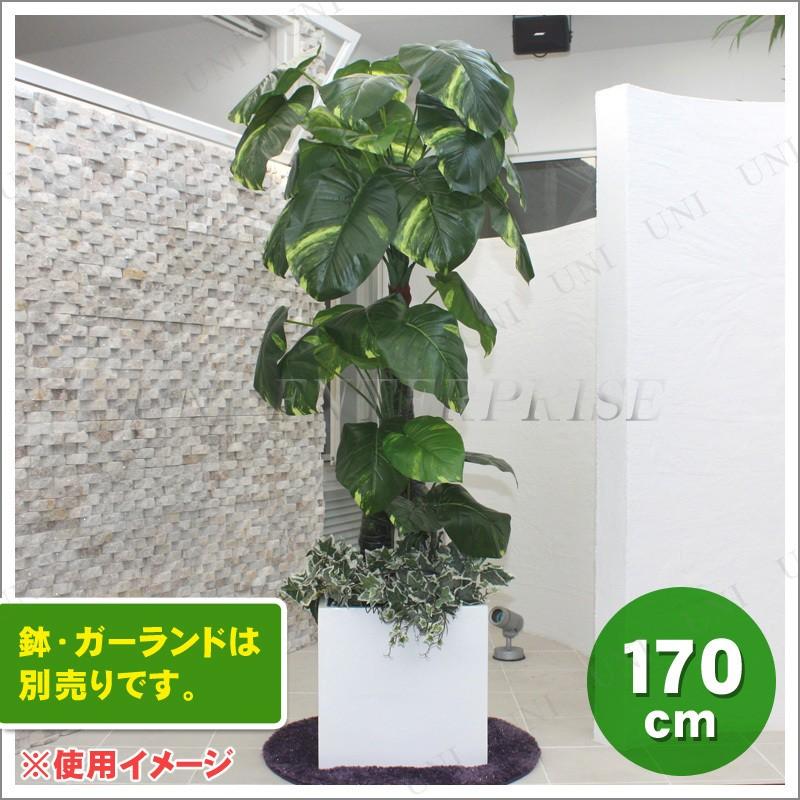 人工観葉植物 光触媒 ポトス 170cm : パーティワールド - 通販 - Yahoo
