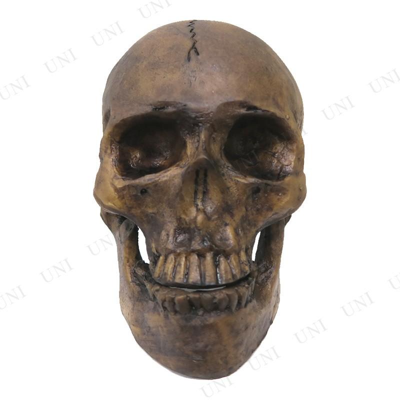 スカル ドクロ ハロウィン 雑貨 怖い ガイコツ 骸骨 スケルトン 置物