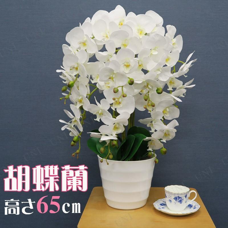 人工観葉植物 胡蝶蘭 白 65cm ユニエンタープライズ サイズ別 お手入れ