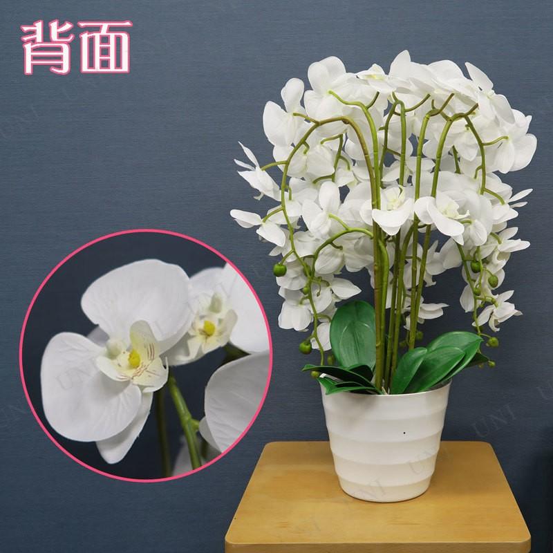 人工観葉植物 胡蝶蘭 白 65cm ユニエンタープライズ サイズ別 お手入れ