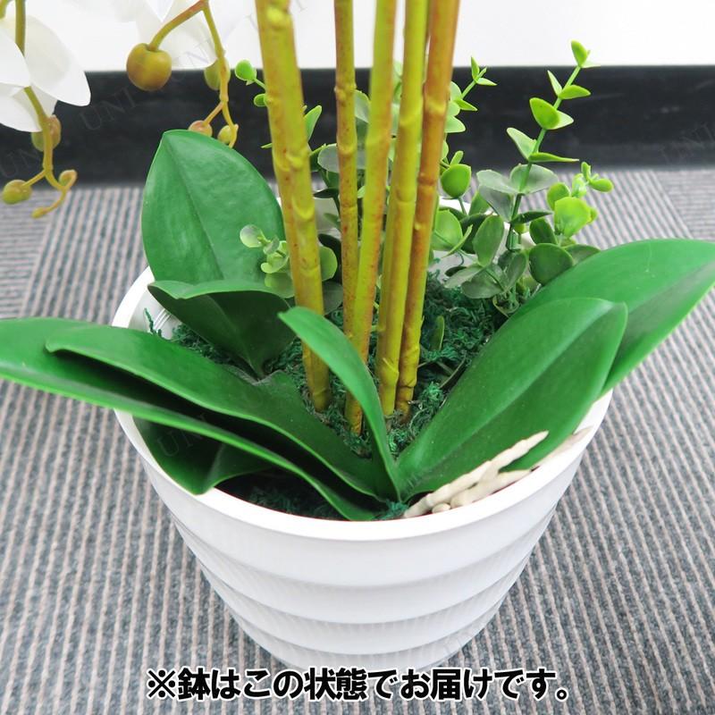 人工観葉植物 胡蝶蘭 白 65cm ユニエンタープライズ サイズ別 お手入れ