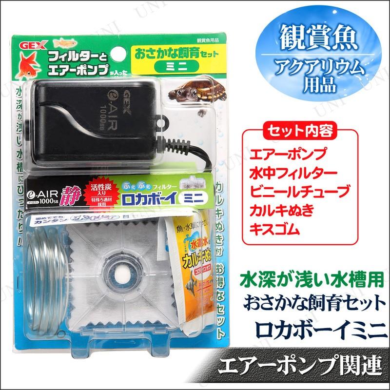 ロカボーイ おさかな飼育セット ミニ 観賞魚飼育セット アクアリウム