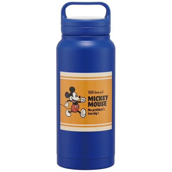 skater スケーター ステンレス マグボトル 直飲み 水筒 800ml STSC8