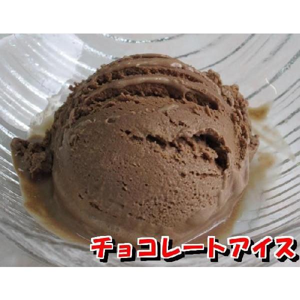 業務用アイスクリーム　高級チョコレートアイス　2リットル