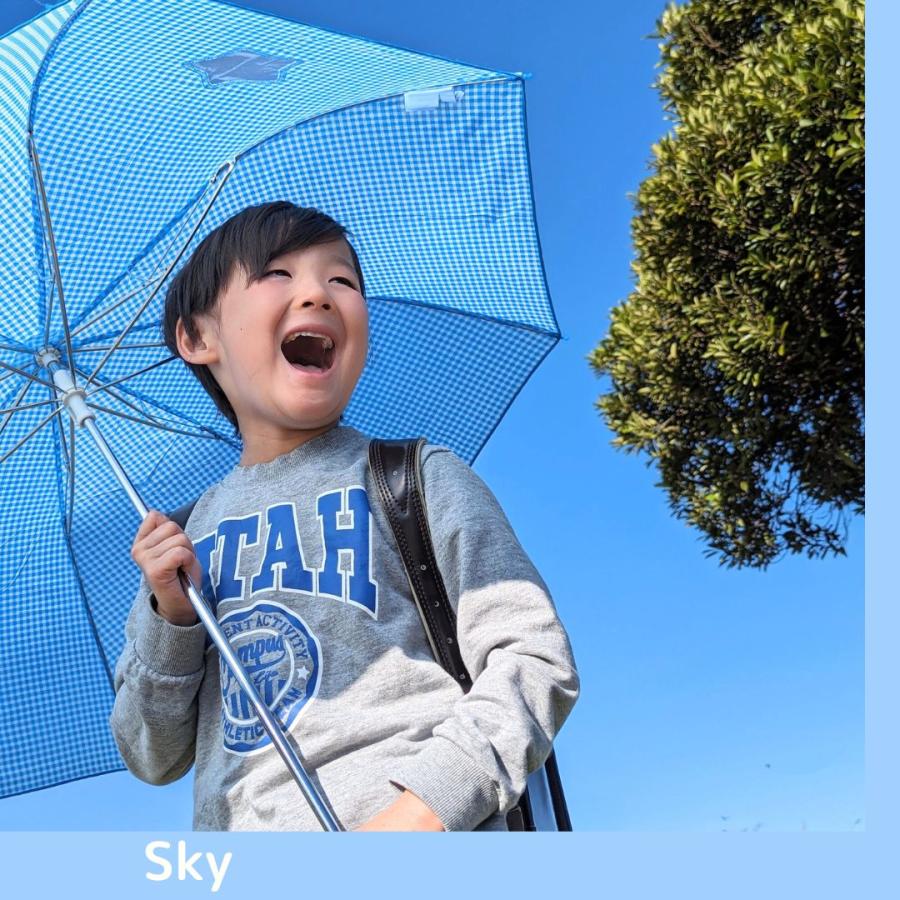 子ども用 折りたたみ傘 53cm 開閉かんたん ギンガムチェック [F20106