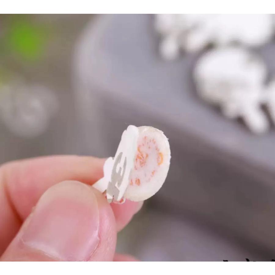 キャンディワッペン 6色セットアップリケ 粘着シール 刺繍 キャンディー キャンデー あめ 飴 アメ ロリポップ |  | 10