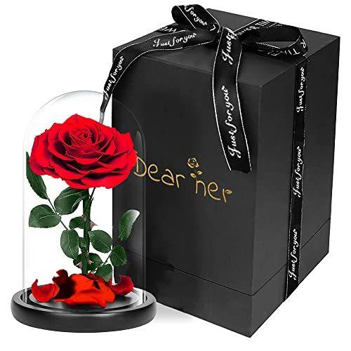 Luckystar Beauty And The 花 ガーデニング Beast And Rose本物のバラで手作り保存花