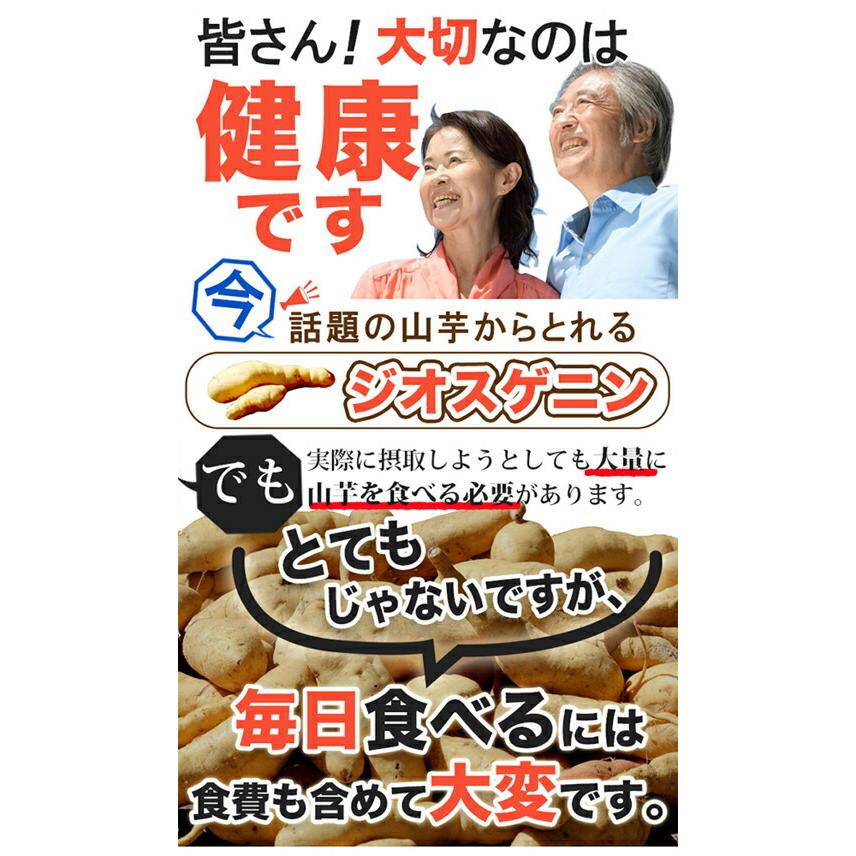 【ヤマト倉庫直送品】【ネコポスのみ】ジオスゲニン約1500mg【ヘルシ価格】ジオスゲニンサプリメント 90粒 栄養補助食品 健康食品 山芋 ワイルドヤム やまいも｜parusu｜02