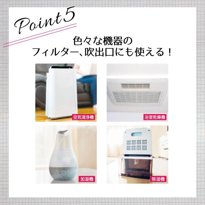 大感謝価格 エアコンカビトルデス 100mL｜parusu｜09