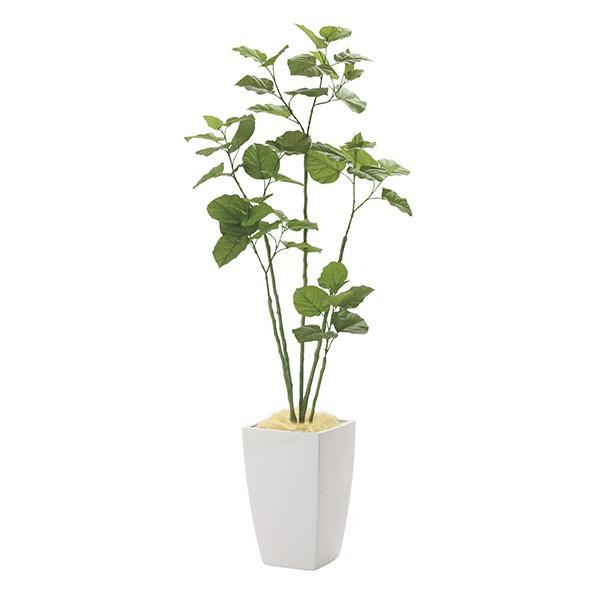 安いそれに目立つ メーカー直送 アーバンブランチウンベラータ1 8 943a650 光触媒人工植物 光の楽園 19 W65 D60 H180cm 全品送料無料 Zoetalentsolutions Com