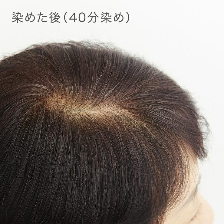 ナイアード ヘナ+木藍 黒茶 徳用400g 髪 天然ヘナ 白髪染め 黒 ナイアード ヘナ+木藍 黒茶 徳用400g 髪 天然ヘナ 白髪染め 黒