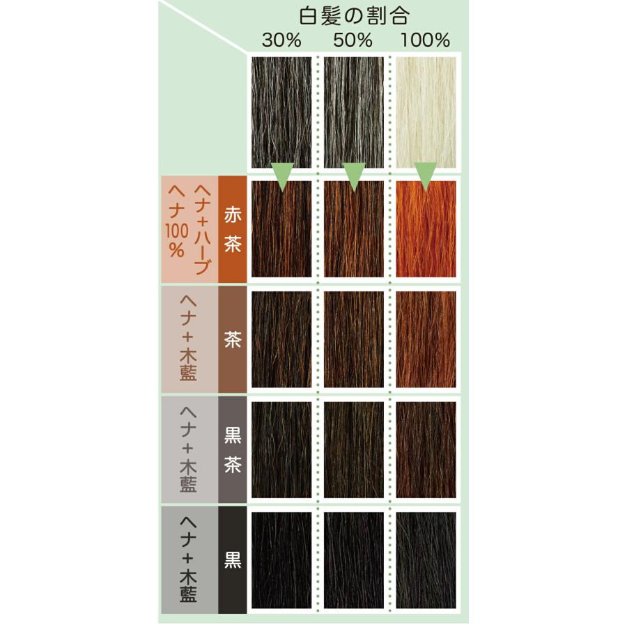 ナイアード ヘナ+木藍 黒茶 徳用400g 髪 天然ヘナ 白髪染め 黒 ナイアード ヘナ+木藍 黒茶 徳用400g 髪 天然ヘナ 白髪染め 黒