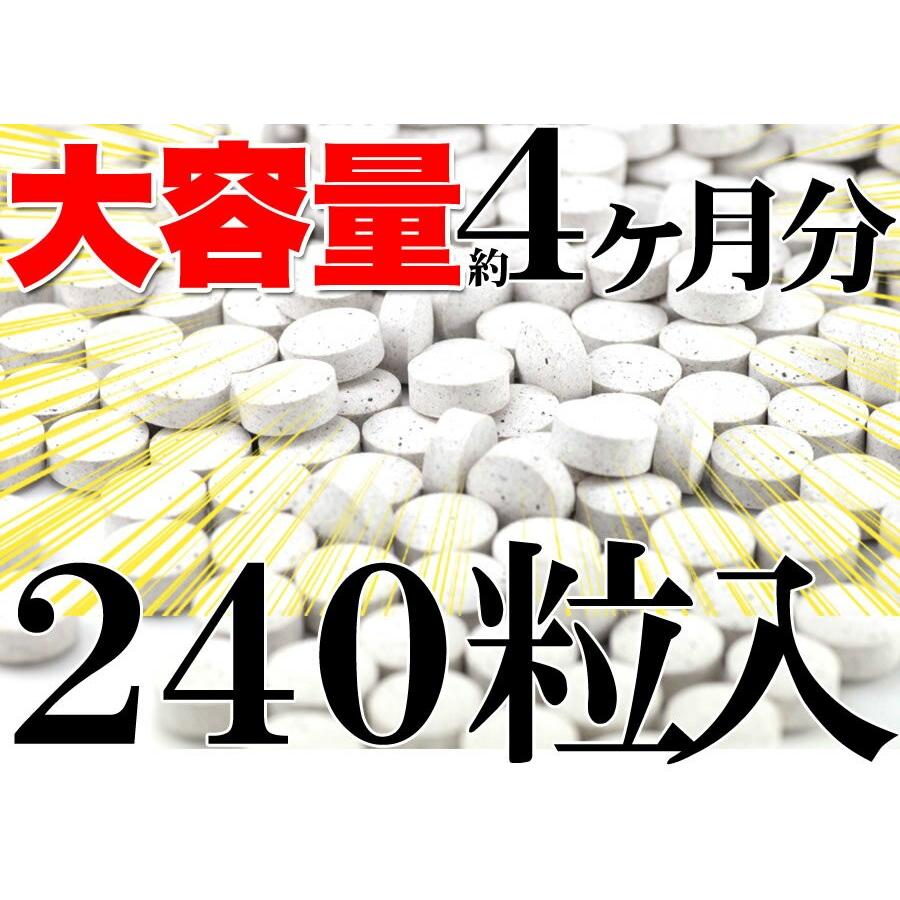 【大感謝価格 】『メガ盛り黒しょうが＆5つの黒サプリ約4ヵ月分 240粒入』　【5〜12営業日前後出荷予定】メール便のみ　｜parusu｜03