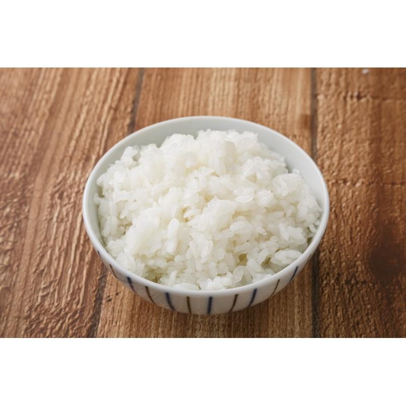 メーカー直送 12個セット 25袋 12箱 健康食品 大感謝価格 アトア ダイエット食品 無農薬ゼンパスタライス ダイエット こんにゃく米 粒こんきらり 25袋セット 12 Yyy0572 045 Kum01 へるしー99box