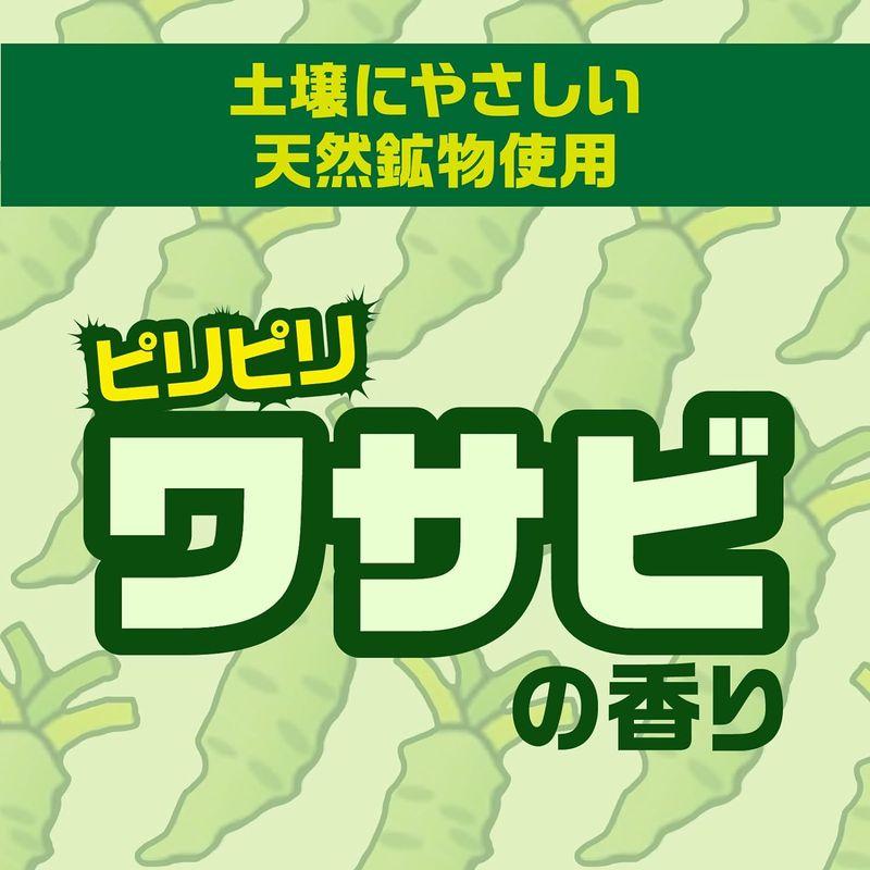 アースガーデン イヌ・ネコのみはり番 粒剤 1000g 屋外 玄関 庭 野良猫 野良犬 対策 猫よけ 犬よけ 忌避 (アース製薬)｜parvusgradus｜04