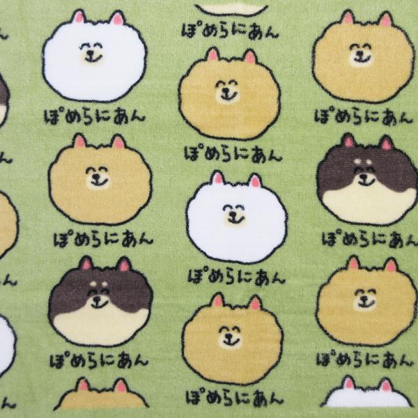 ネコポス便発送可】209883 おえかきさん シリーズ フェイスタオル ぽめ