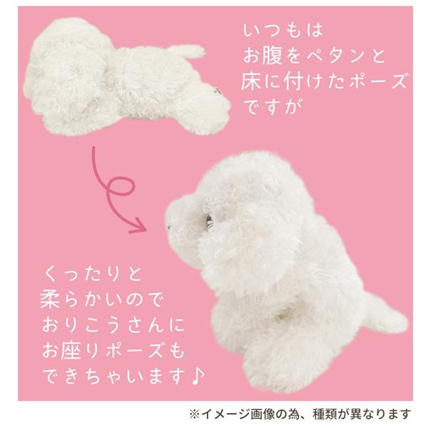 モンスイユ　ぬいぐるみ　子犬　トイプードル　マスコット モンスイユ ぬいぐるみ 子犬 トイプードル マスコット - メルカリ