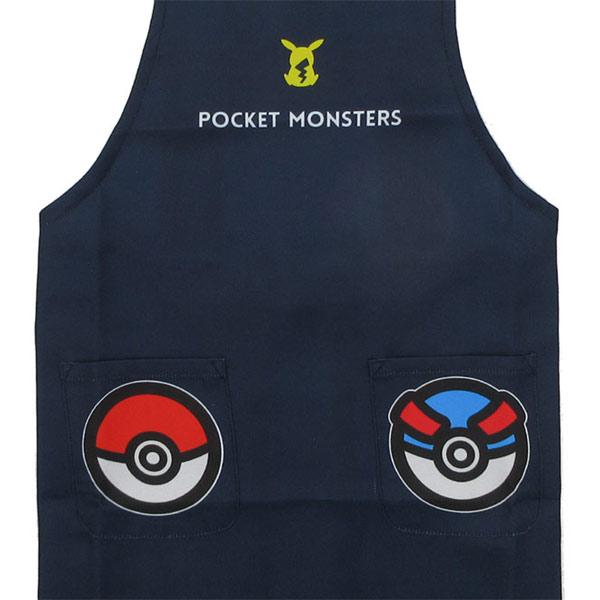 任天堂（Nintendo） 【ネコポス便発送可】46805 ポケットモンスター
